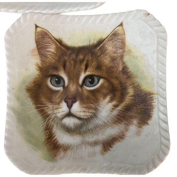 Cat Kittens Kitties 5 Trinket Trays Royal Adderley Bone China Made in England - Picture 6 of 8